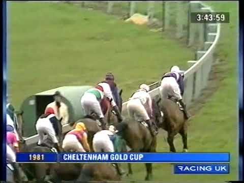 1981 Cheltenham Gold Cup