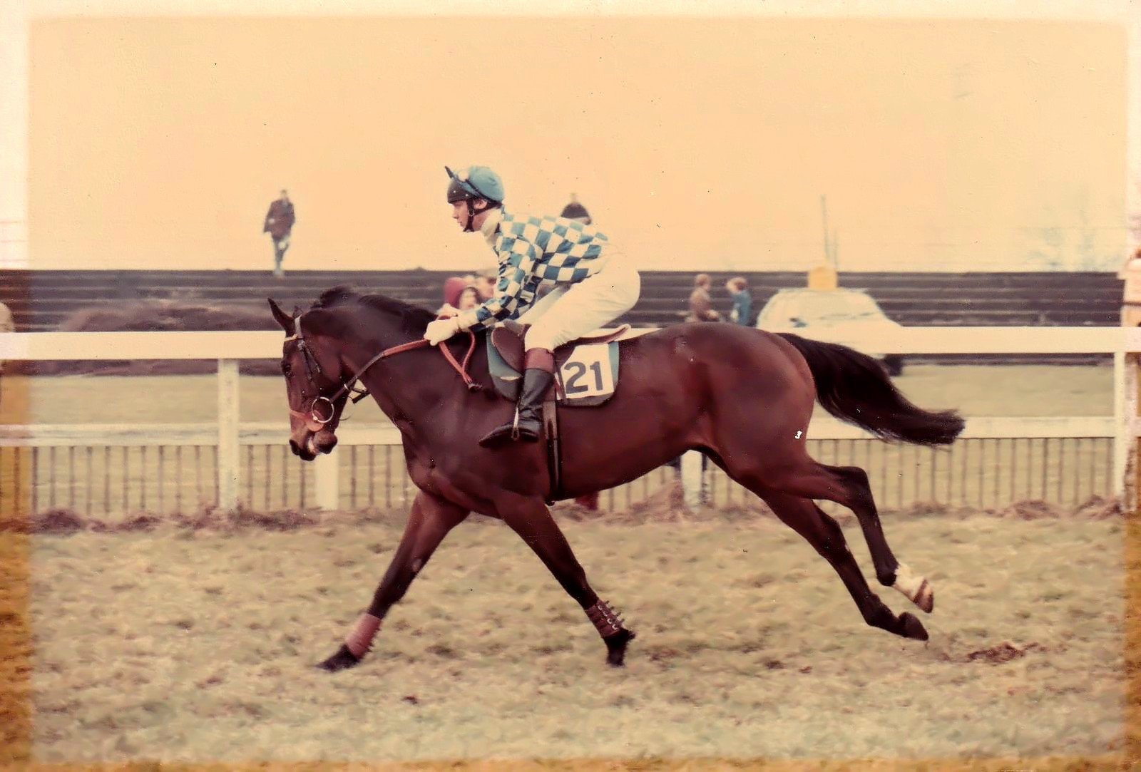 Malden Timber Novices Hurdle (Qualifier)