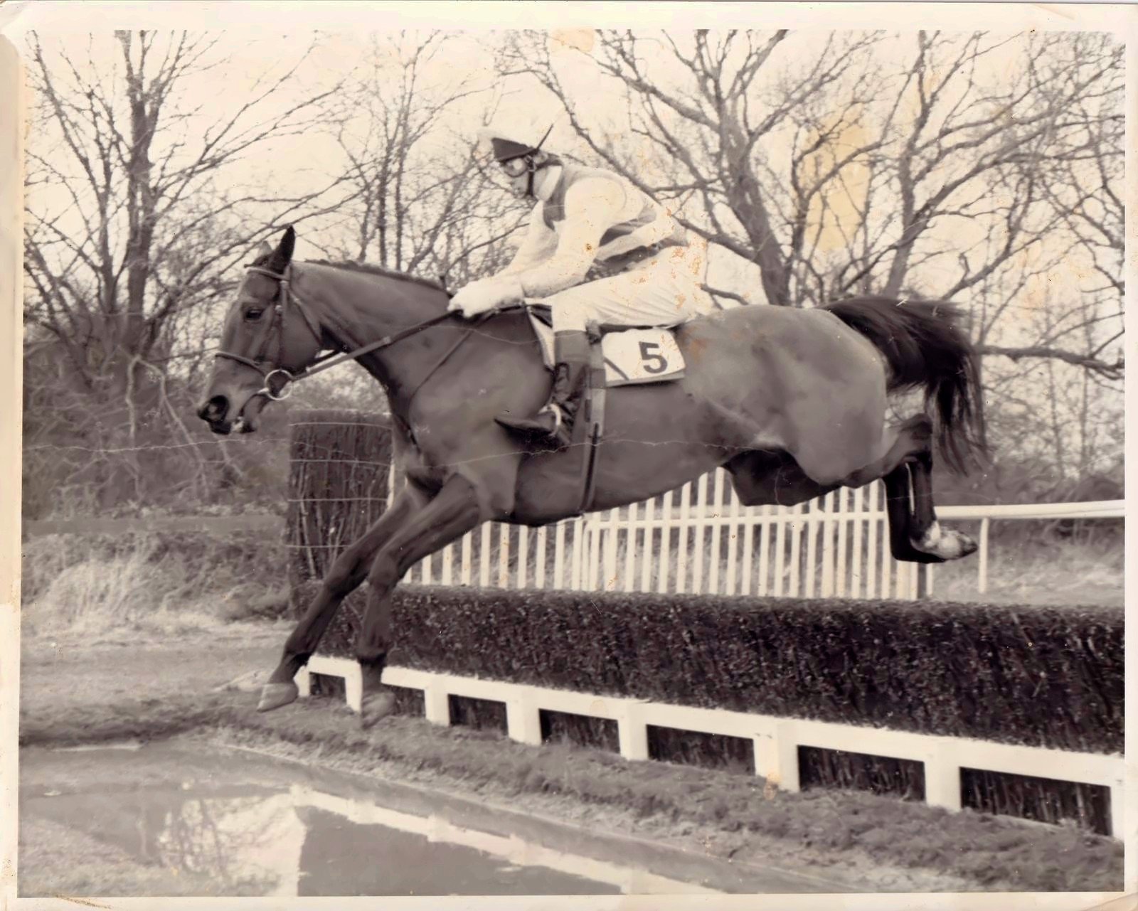 Salt Hill Handicap Chase