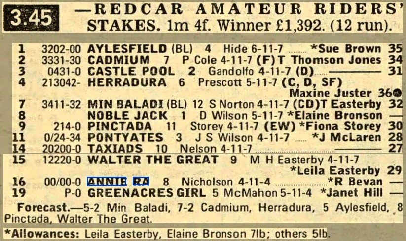 Redcar Stakes (Amateurs)