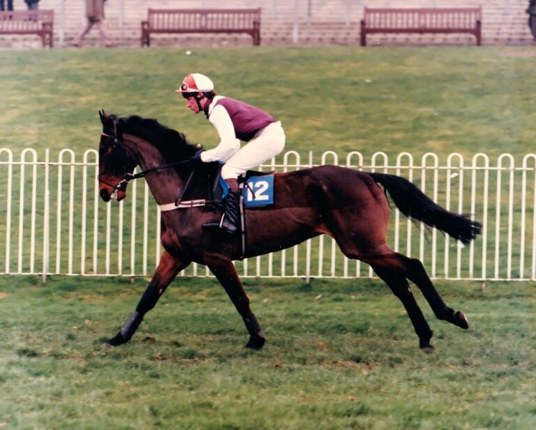 Richard Bevan Amateur Jockey Race Rides 1993/94 National Hunt Racing Season