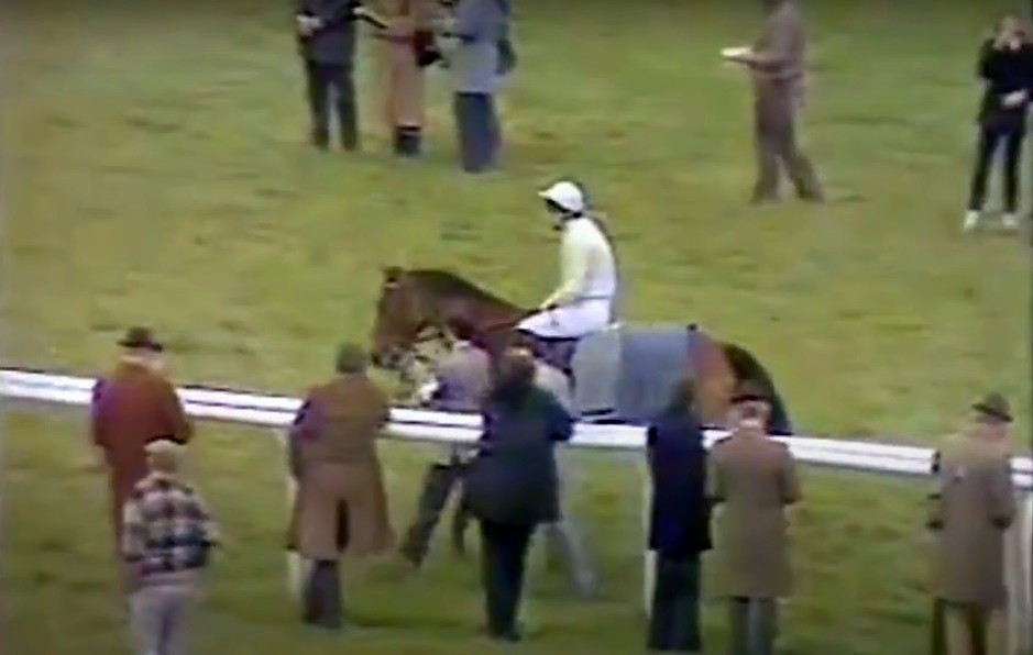 Hennessy Cognac Gold Cup Handicap Chase