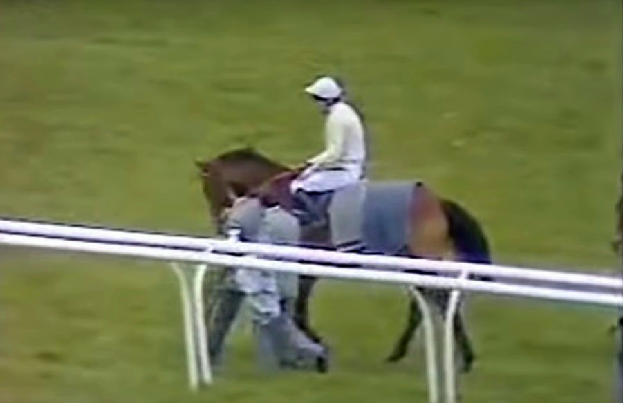 Charter Party 1985 Hennessy Gold Cup